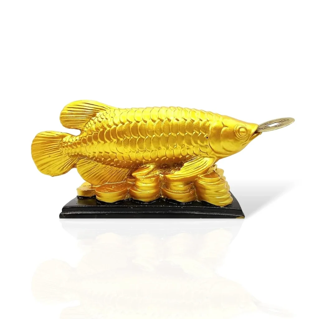 "Golden Arowana fish statue placed in home office for attracting money and good fortune