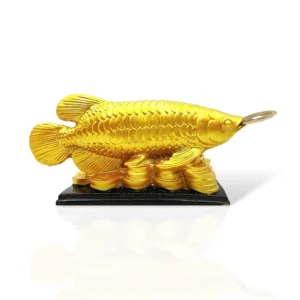 "Golden Arowana fish statue placed in home office for attracting money and good fortune
